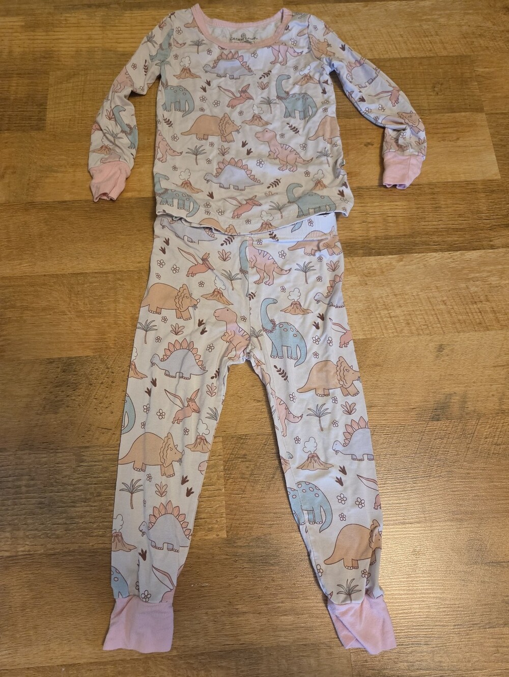 Caden Lane Two Piece Bamboo Pajama Set Pink Dinosaurs
